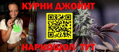 PSILOCYBIN Кингисепп