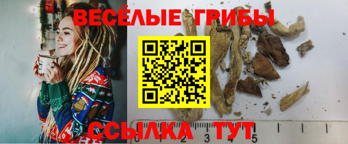 Псилоцибиновые грибы Cubensis  Вход с VPN  Кстово  Галлюциногенные грибы Magic Shrooms 