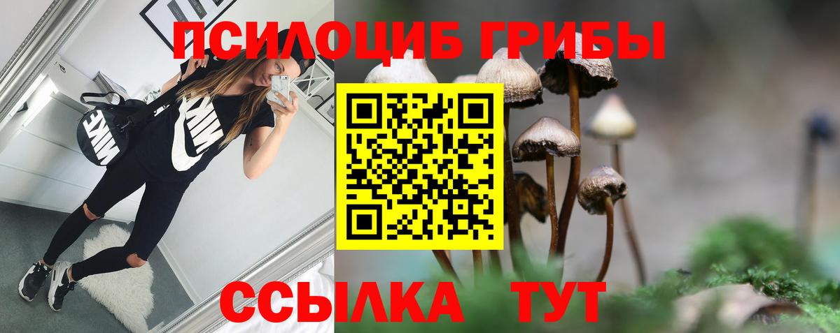 Псилоцибиновые грибы Magic Shrooms Кстово